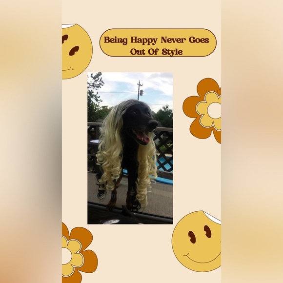 Vintage Posh Show Listing! Magic2 - Picture 7 of 14